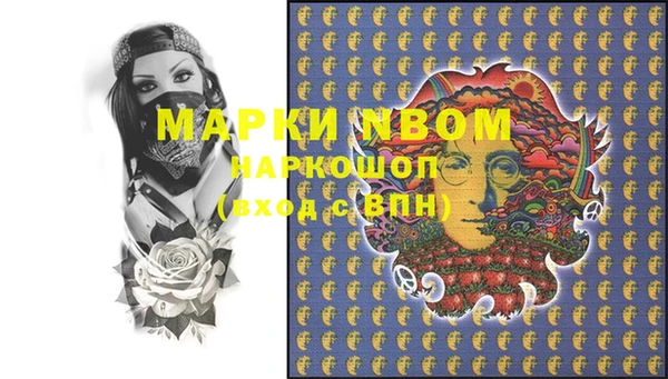 PSILOCYBIN Бронницы