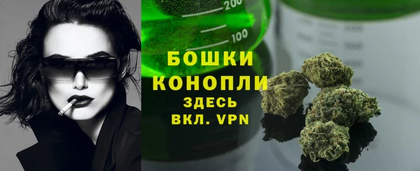 соль курить ск Бородино