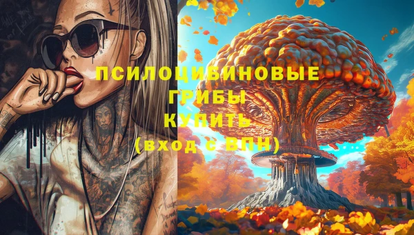 PSILOCYBIN Бронницы