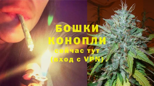 соль курить ск Бородино