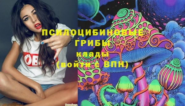 соль курить ск Бородино