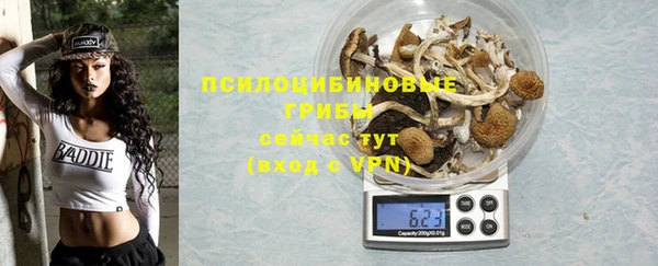 PSILOCYBIN Бронницы