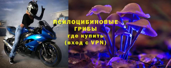 PSILOCYBIN Бронницы