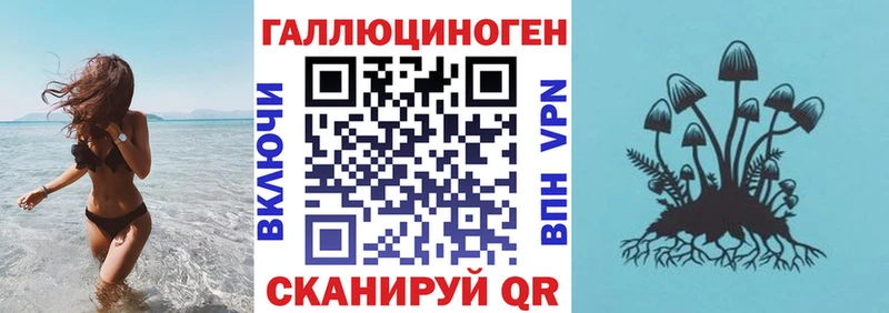 Псилоцибиновые грибы MAGIC MUSHROOMS  Курган 